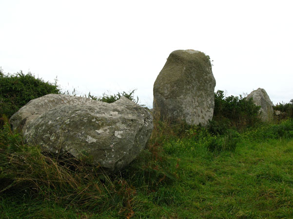Menhirs du Vieux Moulin